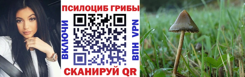 где можно купить наркотик Фурманов Галлюциногенные грибы мухоморы